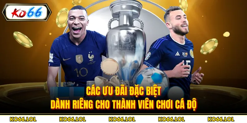 Các ưu đãi đặc biệt dành riêng cho thành viên chơi cá độ